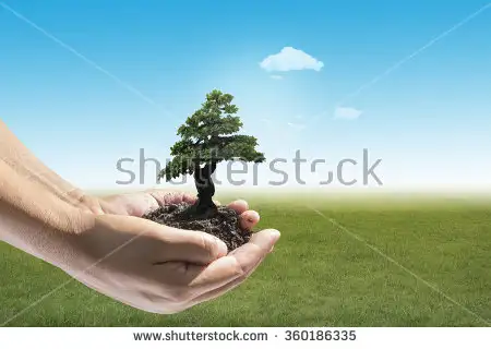 stock-photo-human-hands-holding-small-plant-over-blurred-house-on-rainy-with-nature-background-ecology-concept-360186335
